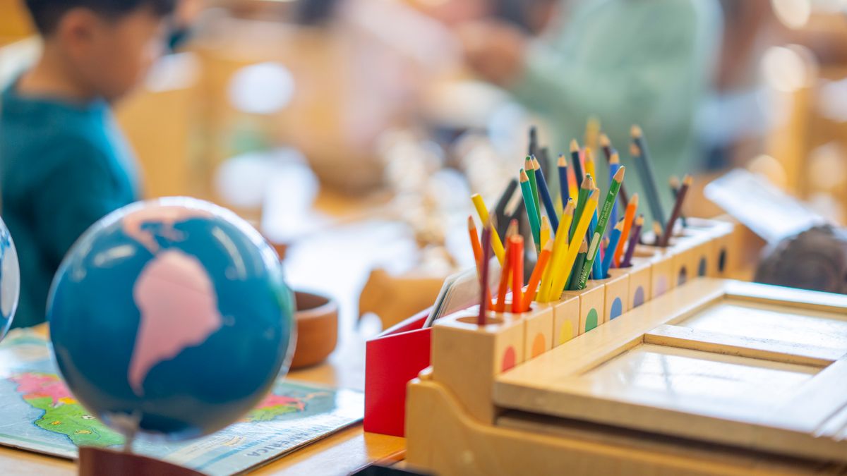 Montessori method has ‘strong and clear’ impact on student performance